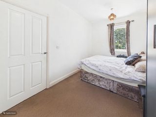 cam03830g0pr0393still008001