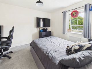 cam04425g0pr0476still015001