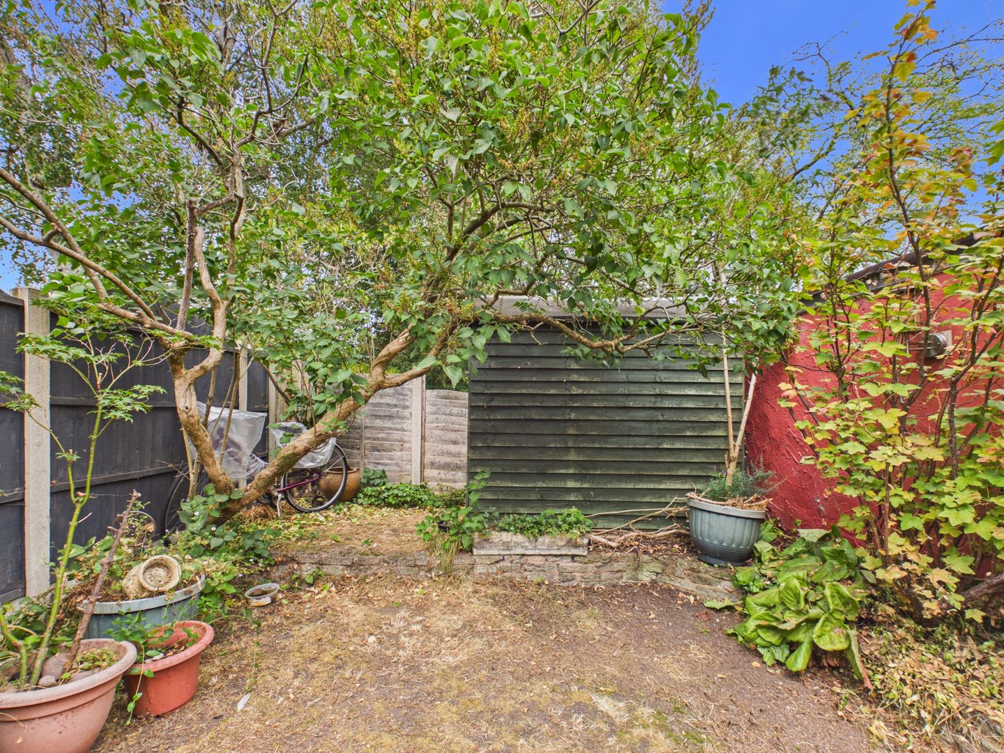 garden1