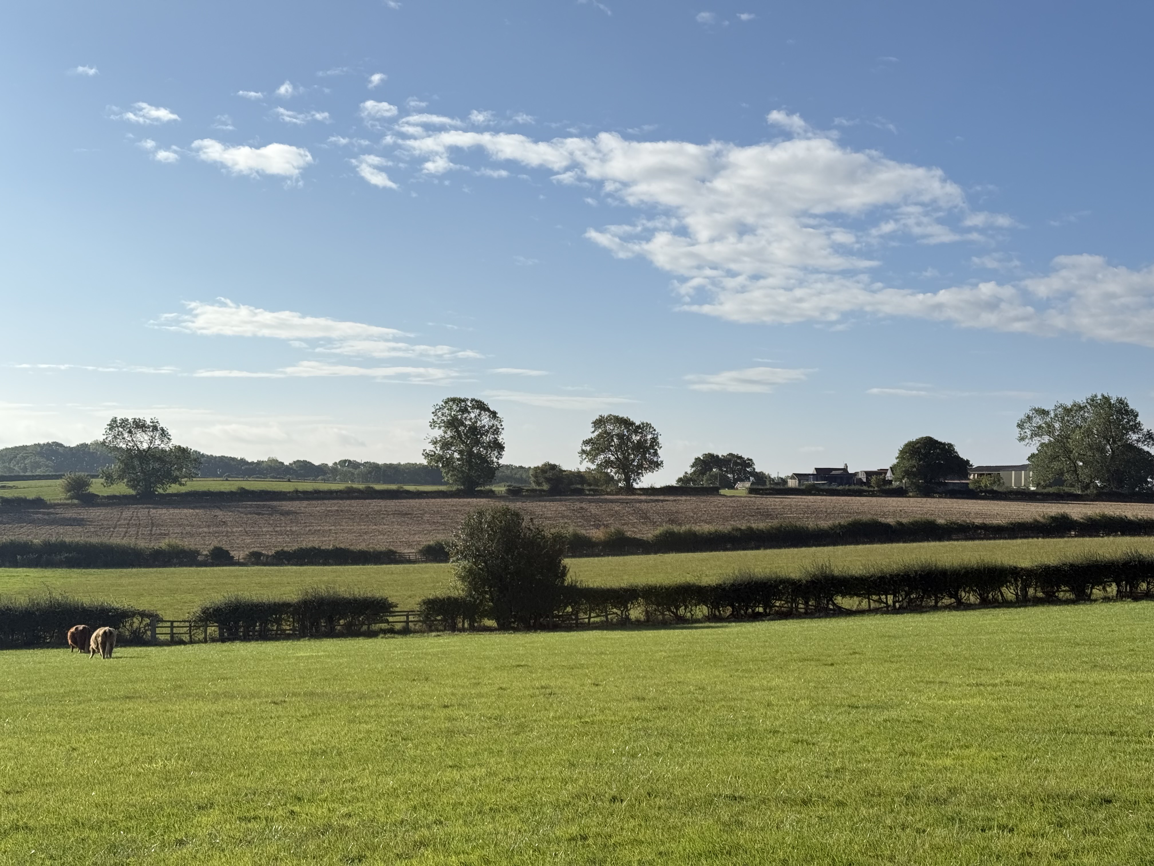 South Cowton, Northallerton, DL7 - Photo 15