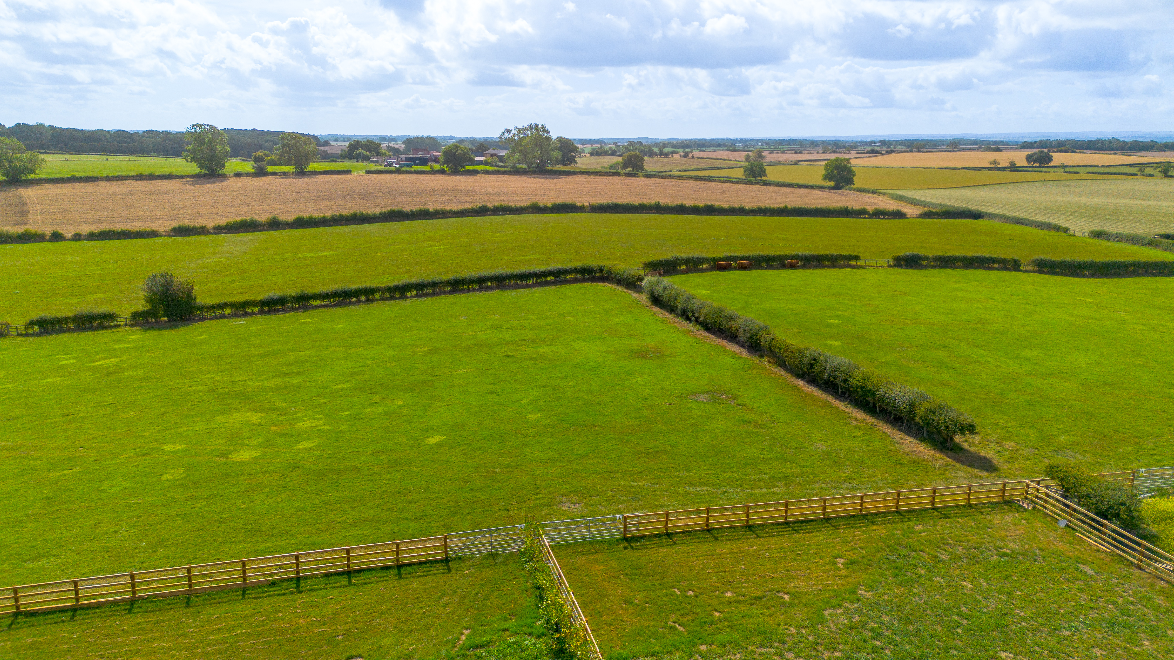 South Cowton, Northallerton, DL7 - Photo 14
