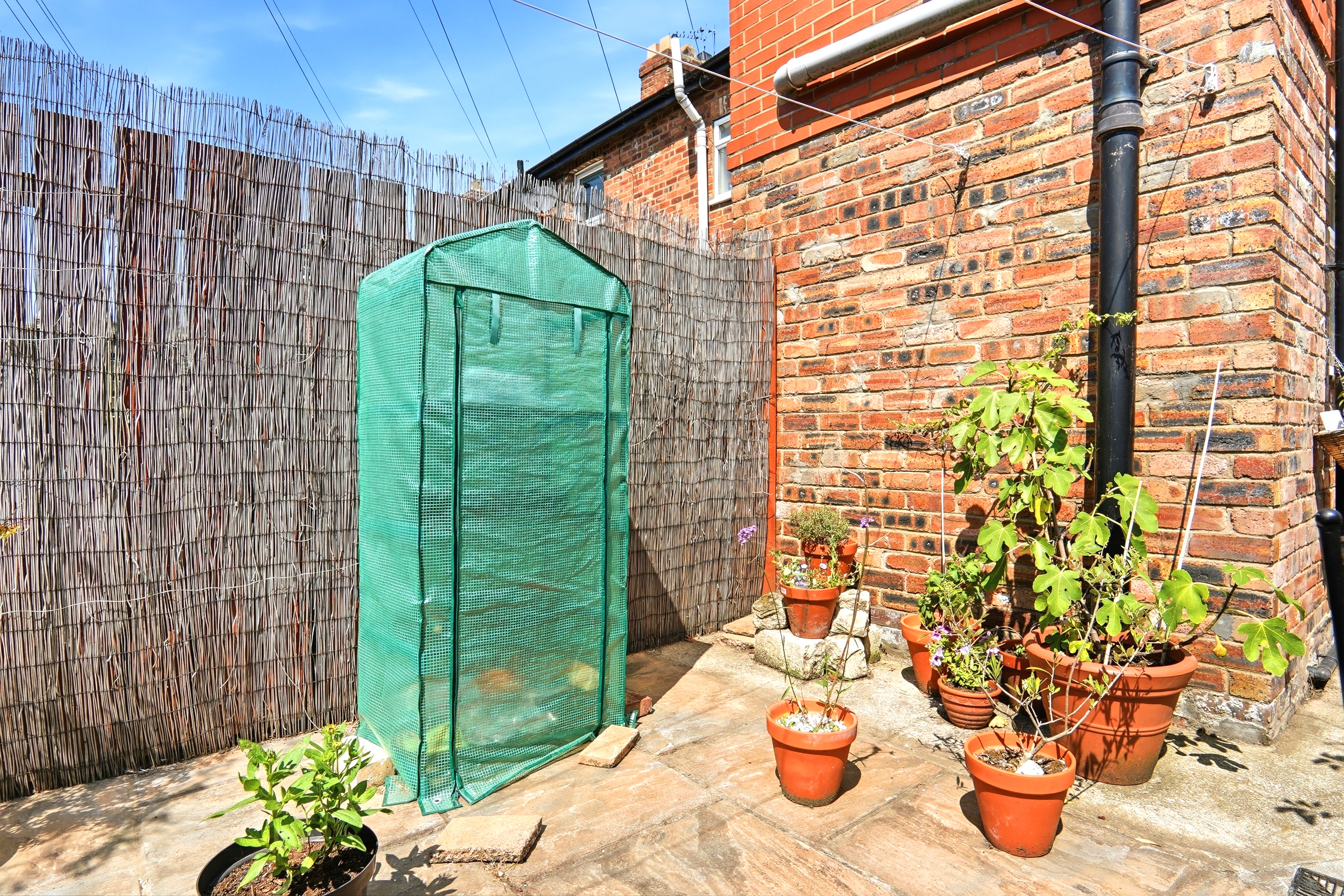 Frances Street, York, YO10 - Photo 15